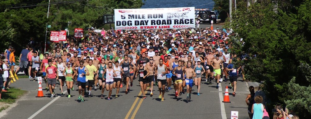 Dog Day Road Race