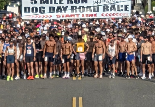 W. 80th Street Harvey Cedars